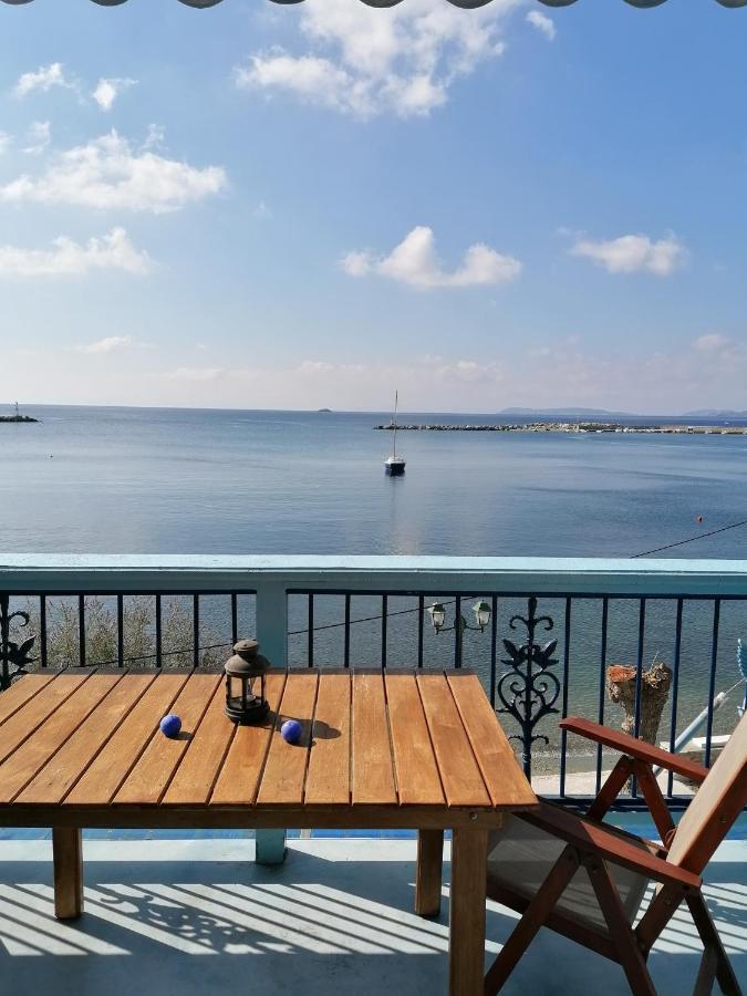 Villa Evmenia Panoramic View & Sea Front Apartments 斯科派洛斯 外观 照片