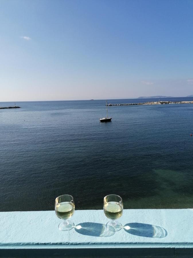 Villa Evmenia Panoramic View & Sea Front Apartments 斯科派洛斯 外观 照片