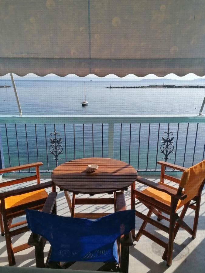 Villa Evmenia Panoramic View & Sea Front Apartments 斯科派洛斯 外观 照片