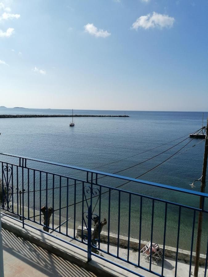 Villa Evmenia Panoramic View & Sea Front Apartments 斯科派洛斯 外观 照片